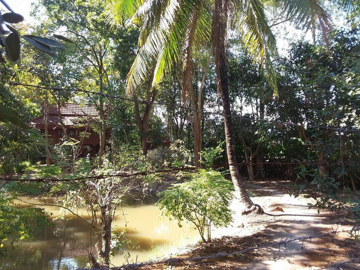 Your Home In Mae Rim Ban Muang Pha Zewnętrze zdjęcie