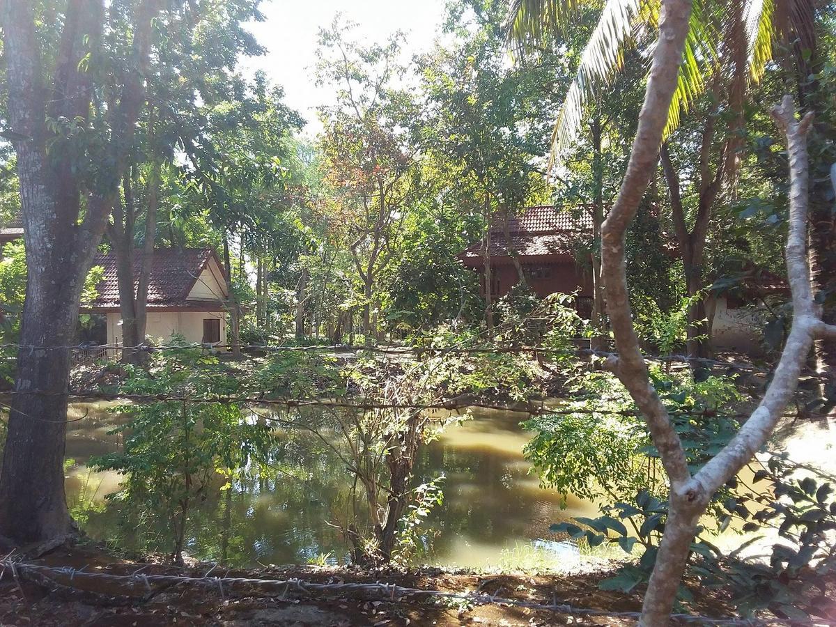 Your Home In Mae Rim Ban Muang Pha Zewnętrze zdjęcie